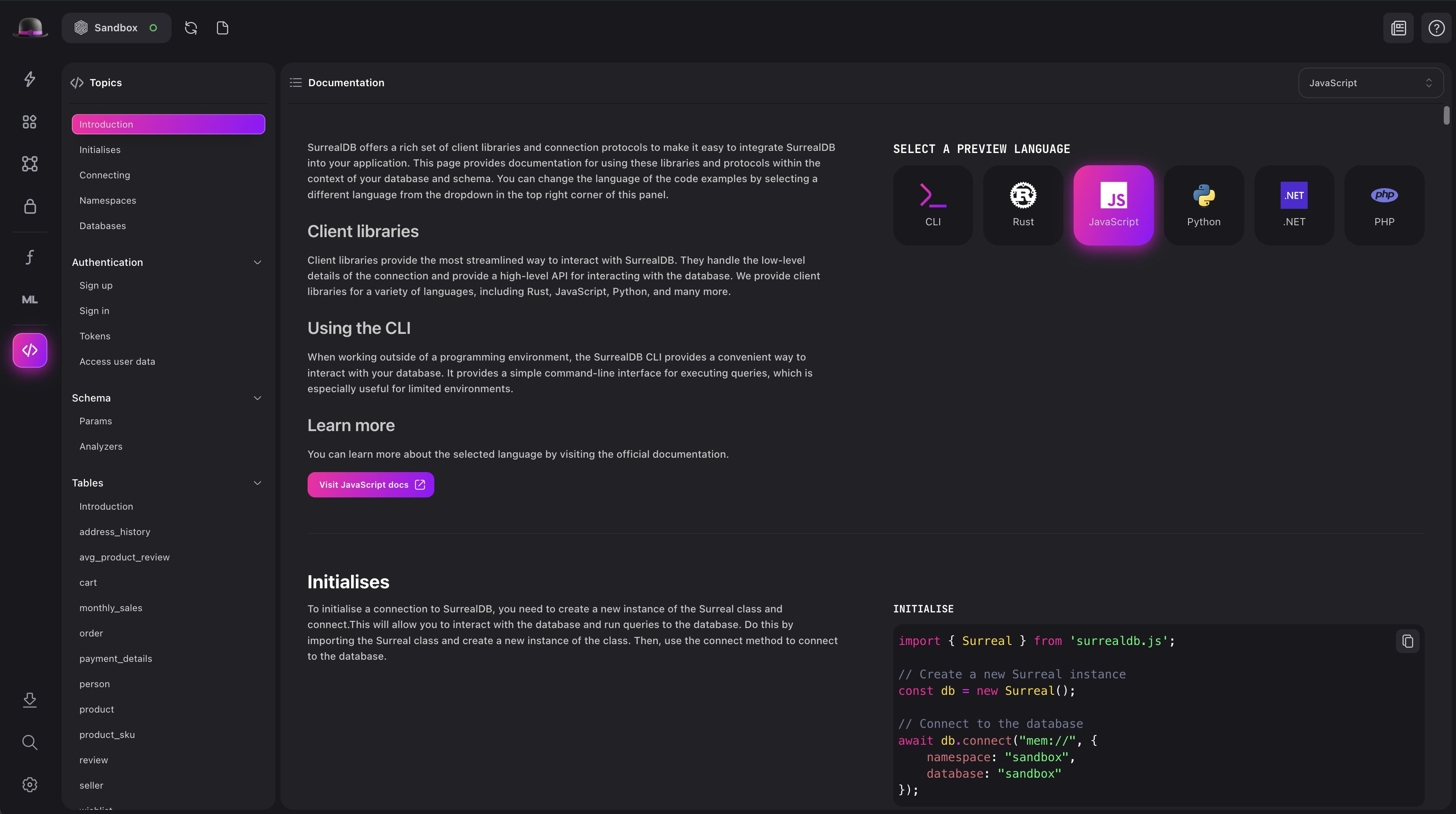 Surrealist API Docs view